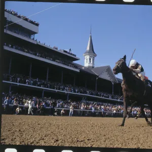 Images Dated 1981 May: 2 May 1981