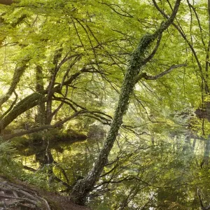 Plitvice Lakes National Park