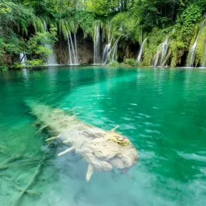 Plitvice Lakes National Park Print Plitvice Lakes National Park Print
