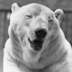 Images Dated 1971 June: 17 Jun 1971
