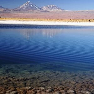 Pond in the Atacama Desert in Chile