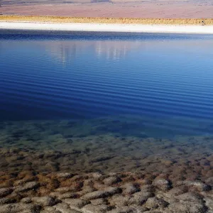 Pond in the Atacama Desert in Chile