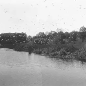Sale Pond Panorama Print Sale Pond Panorama Print