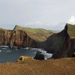 Ponta do Rosto, Madeira, Portugal, Europe