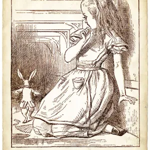 The Pool of Tears Alice in Wonderland The Pool of Tears Alice in Wonderland