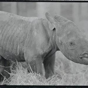 Images Dated 1987 March: 2 Mar 1987