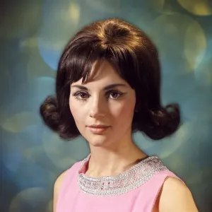 1960s Flip Hairstyle Print 1960s Flip Hairstyle Print