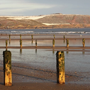 posts along the shoreline in winter