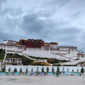 The Potala Palace Print, Lhasa Tibet China The Potala Palace Print, Lhasa Tibet China