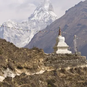 Prayer flags and ornament on hillside