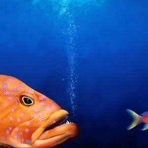 Predatory fish chasing smaller fish (Digital) Predatory fish chasing smaller fish (Digital)