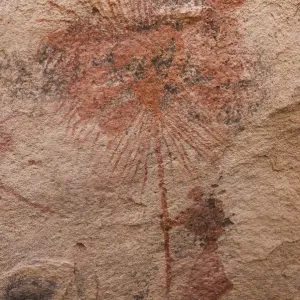 Prehistoric Petroglyphs in libian sahara desert Prehistoric Petroglyphs in libian sahara desert