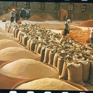 Images Dated 1973 December: 26 Dec 1973