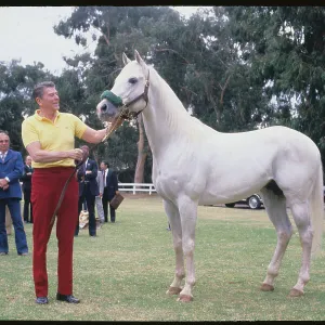Images Dated 1981 January: 12 Jan 1981
