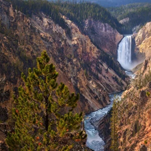 Prestige - Lower Yellowstone Falls