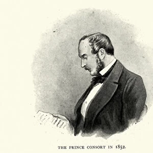 Prince Albert in 1852