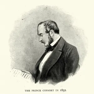 Prince Albert in 1852 Prince Albert in 1852