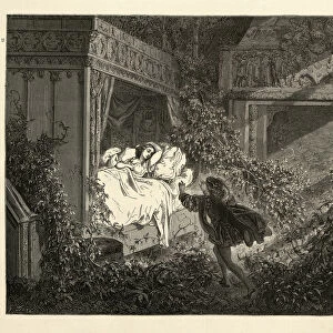 The prince discovering Sleeping Beauty, Perraults Fairy Tales