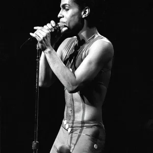 Prince In LA Prince In LA