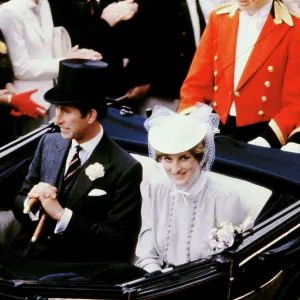 Images Dated 1981 July: 17 Jul 1981