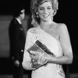 Princess Diana Princess Diana