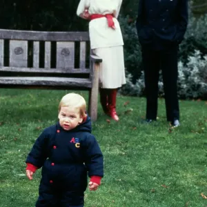 Princess Diana and Prince Charles with a Young Prince William Princess Diana and Prince Charles with a Young Prince William