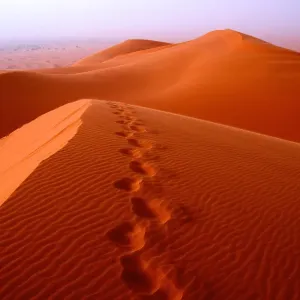 Erg Chebbi Dunes Print Erg Chebbi Dunes Print
