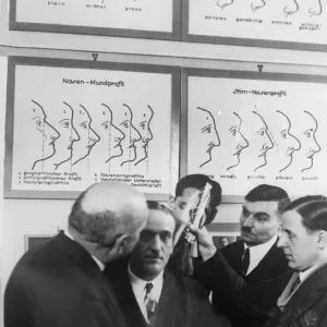Profil-Typisierung