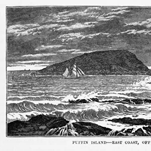 Puffin Island in Anglesey, Wales Victorian Engraving, 1840