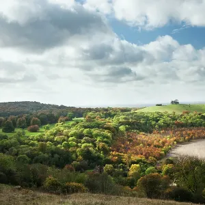 Pulpit Hill from Coombe Hill, The Chilterns Pulpit Hill from Coombe Hill, The Chilterns