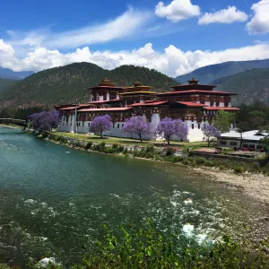 Punakha Dzong and Mochho River