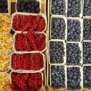 Punnets of redcurrants, blueberries and blackberries