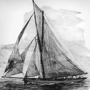 Puritan Yacht Americas Cup Winner Print 1885 Puritan Yacht Americas Cup Winner Print 1885