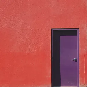 Purple Door Purple Door