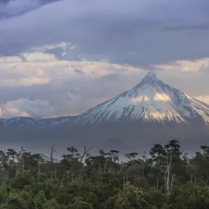 Puyehue volcano in the evening light, Puyehue, Los Lagos Region, Chile