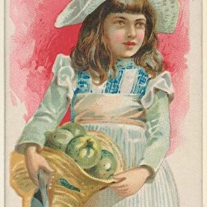 Quince Trade Card 1891
