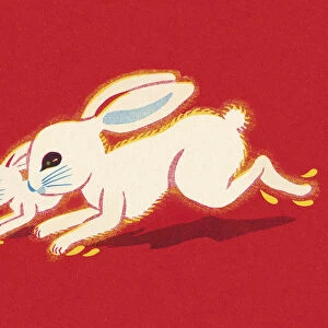 Rabbit and Bunny Running