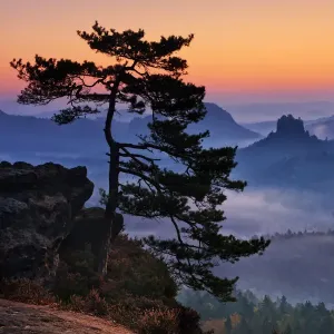 Winterberg Gleitmannshorn Print, Saxony Switzerland Landscape