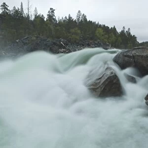 Raging river, Norway, Scandinavia, Europe
