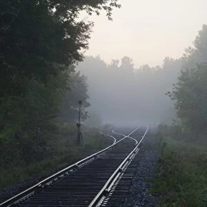 Railway tracks in early morning mist, Foster, Quebec, Canada
