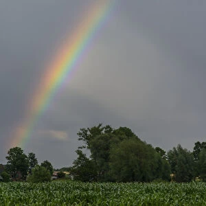 Rainbow over a cornfield, North Rhine-Westphalia, Germany