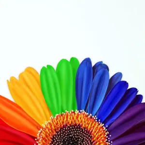 Visual Treasures Canvas Print Collection: Rainbow Colours