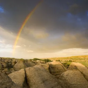 Nature & Wildlife Poster Print Collection: Philippe Widling Photography