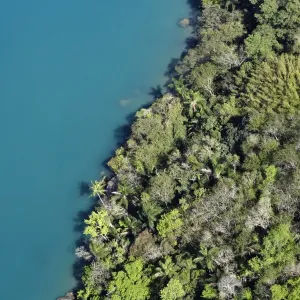 Rainforest Meeting Water Rainforest Meeting Water