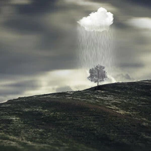 Raining in one tree, imagination landscape