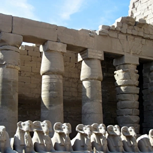 Ram-headed Sphinxes, Karnak temple, Egypt