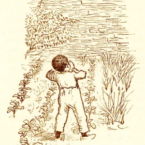 Randolph Caldecott sketch of a small Victorian boy scaring birds