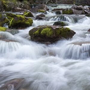 Rapids in the river Njupan, Fulufjallet National Park, Dalarnas lan, Dalarna County, Sweden