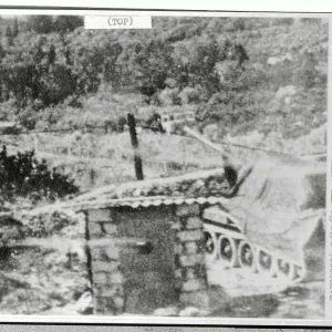 Images Dated 1980 February: 20 Feb 1980