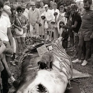 Images Dated 1986 August: 7 Aug 1986